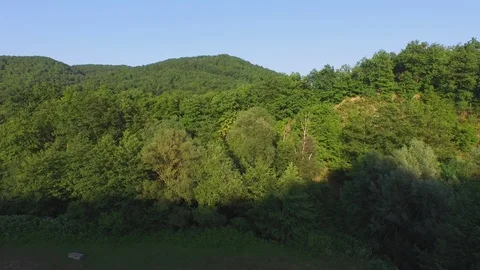 Flight under mountain forest 動画素材 94723434