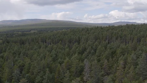 Flight under mountain forest Stock-Footage 94723788