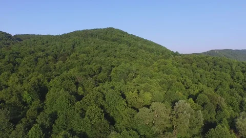 Flight under mountain forest 動画素材 94723939