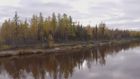 Flight under river 動画素材 94722958