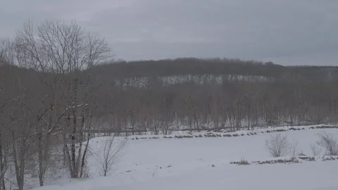 Flight under winter river and forest 스톡 동영상 94724466