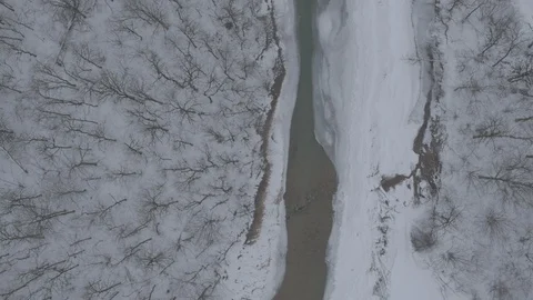 Flight under winter river and forest Video stock 94724576