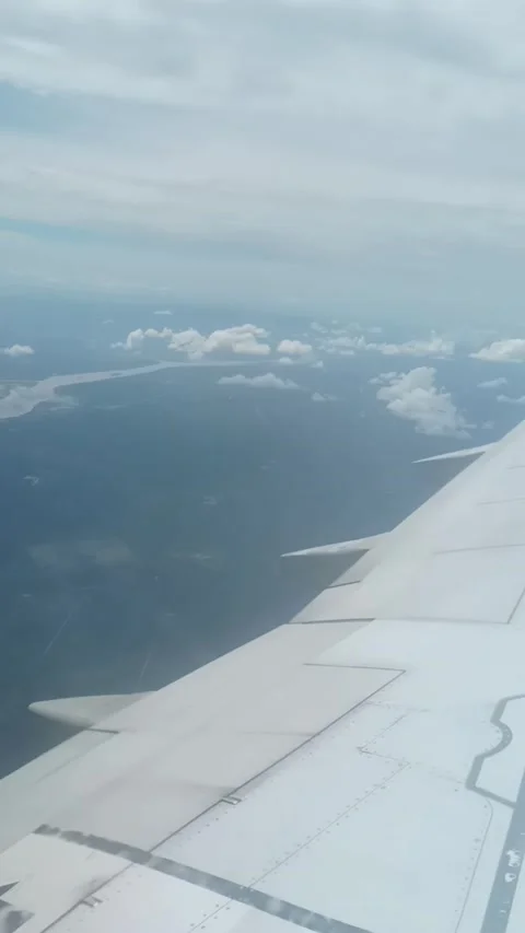 In-flight view Stock Footage 208562584