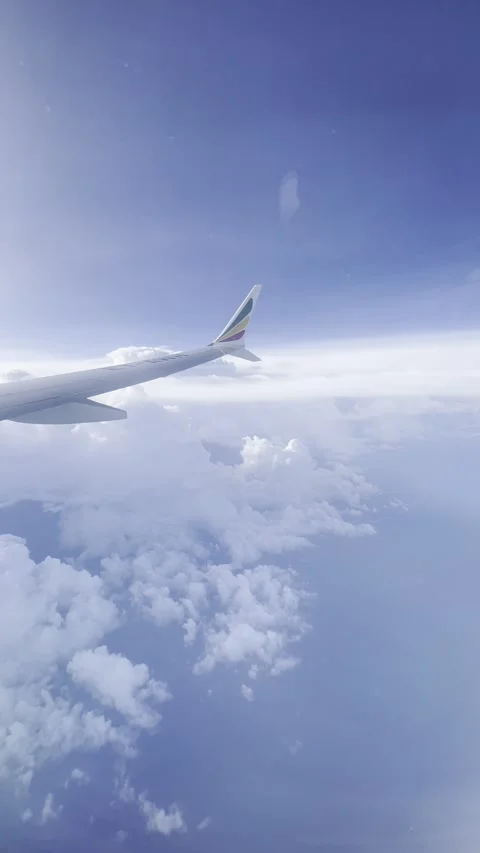 Flight View 動画素材 251985979