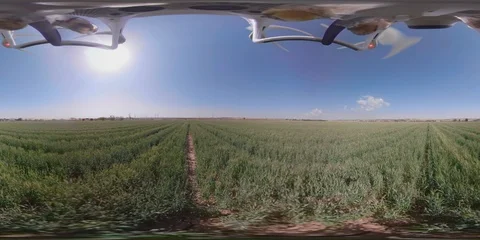 Flight in wheat field 360 vr Vídeos de archivo 88237402