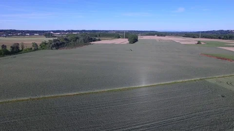 Flight on wheat fields asti aerial video Stock Footage 83933711