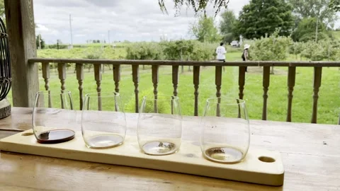 Flight of wine glasses tasting Stock Footage 271156767