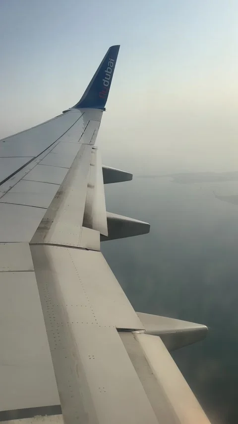 Flight Wing View Stock Footage 253543295