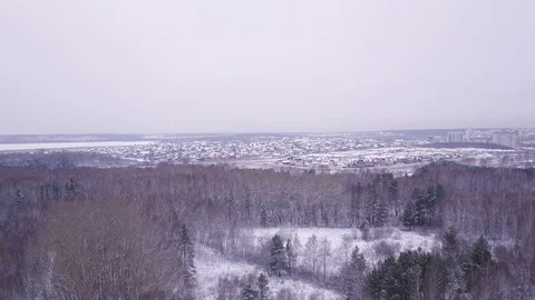 Flight in winter on the drone above the forest on the background of the city. Ae Stock Footage 100876031
