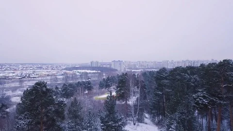 Flight in winter on the drone above the forest on the background of the city. Ae Stock Footage 100876235