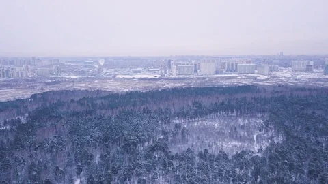 Flight in winter on the drone above the forest on the background of the city. Ae Stock Footage 100876272