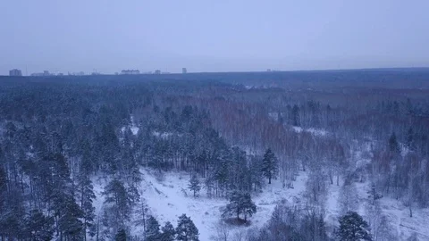Flight in winter on a drone above the forest Stock Footage 102155078