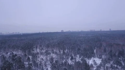 Flight in winter on the drone above the forest on the background of the city.  Stock Footage 102178157