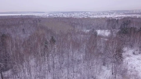 Flight in winter on the drone above the forest on the background of the city.  Stock Footage 102178362