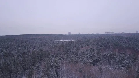 Flight in winter on the drone above the forest on the background of the city.  Stock Footage 102178489