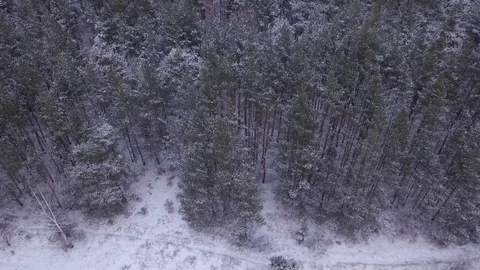 Flight in winter on a drone above the forest 動画素材 102178516
