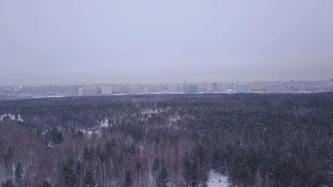 Flight in winter on the drone above the forest on the background of the city.  Stock Footage 102178647