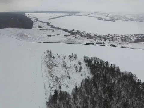 Flight of the winter field and forest Video stock 74053251