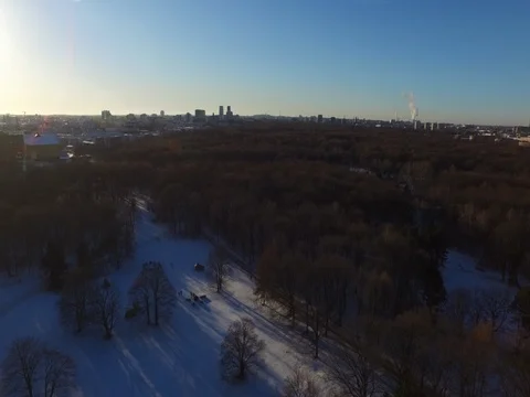 Flight in winter over the Tiergarten park in Berlin, sunny afternoon, aerial. Stock Footage 80423527