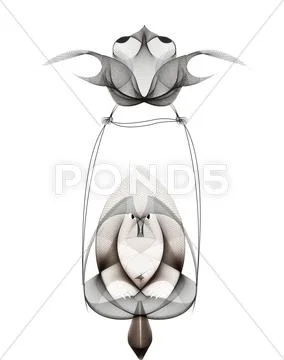 Flight.jpg Stock Illustration