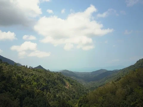 Flights above jungle in Thailand on Kho Phangan island Stock Footage
