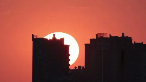 Flights birds silhouette on background city building sunset Stock-Footage 8564246