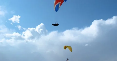 Flights with Paragliding 動画素材 196813181