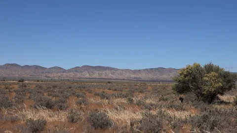 Flinders Ranges 2 Stockbeeldmateriaal 119010316