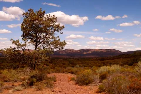 The Flinders Ranges Australia Stock Photos