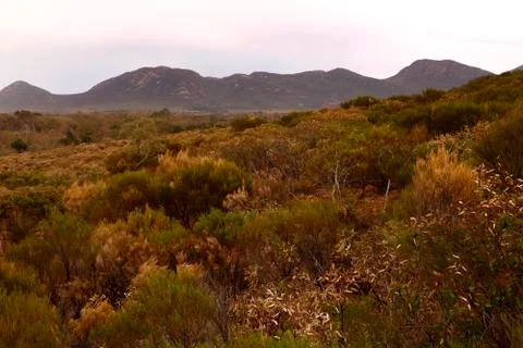 The Flinders Ranges Australia Foto stock