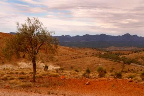 The Flinders Ranges Australia Foto stock