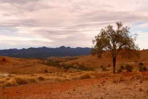 The Flinders Ranges Australia Foto stock