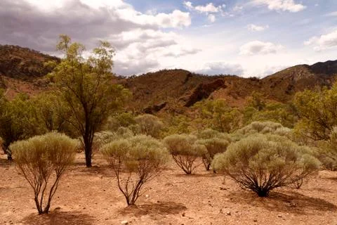The Flinders Ranges Australia Stock Photos