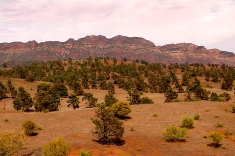 The Flinders Ranges Australia Stock Photos
