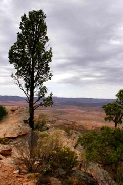 The Flinders Ranges Australia Stock Photos