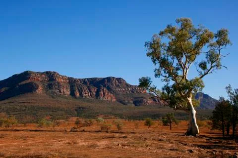 Flinders Ranges Landscape Stock Photos