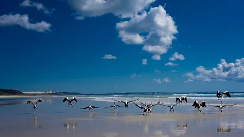 Fling away Foto stock