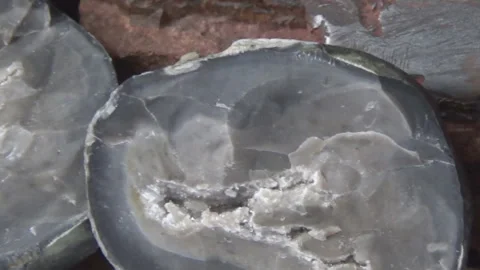 Flint concretion with young rock crystals, stone, mineral, Ukraine. 스톡 동영상 257455424