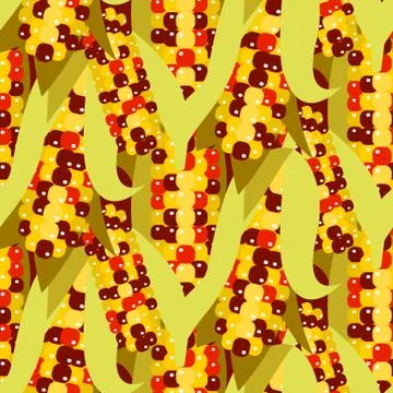 Flint corn seamless pattern vector illustration. Maize ear or cob イラスト素材