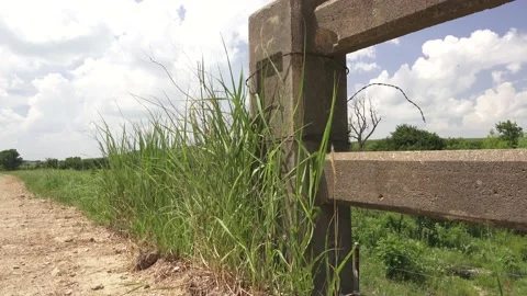 Flint Hills back road view Stock Footage 134747712