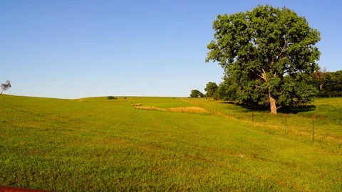 Flint Hills tree on hillside Stock Footage 91752658