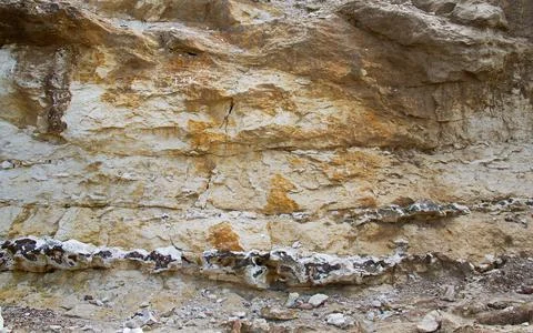 Flint in limestone Stock Photos