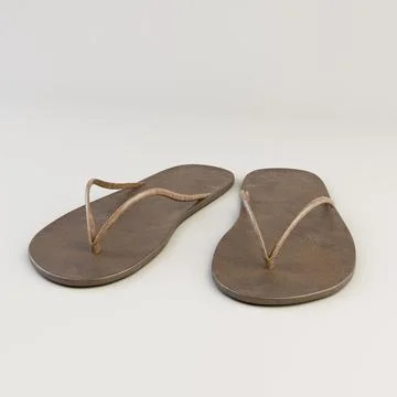 Flip flop isolated on white background Stock Illustration