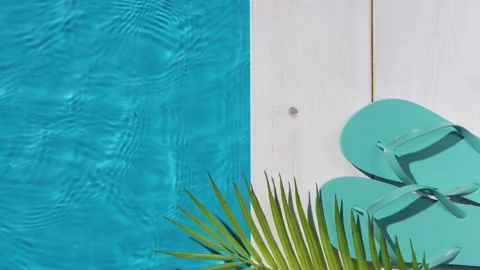 Flip flops and palm leaf by the pool Stock Footage 201525743
