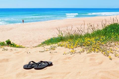 Flip-flops on the background of the beautiful beach and the sea. Stock Photos