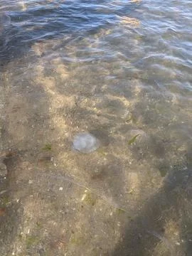 Flip flops on the beach Stock Photos