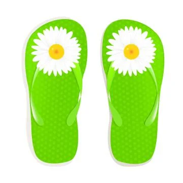 Flip flops with camomile Stock Illustration