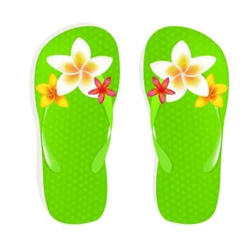 Flip flops with flowers Stock Illustration
