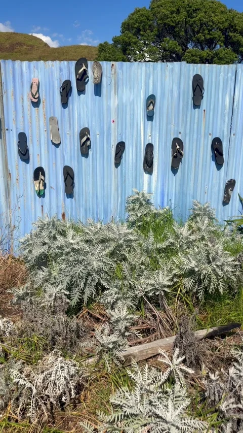 Flip-flops hanging on a blue corrugated fence, Marokopa, New Zealand Stock Footage 333182795