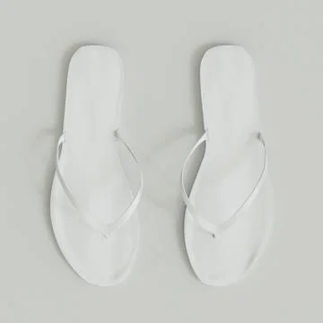 Flip flops Stock Illustration